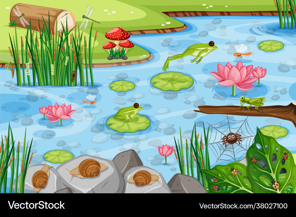 Pond scene with many green frogs Royalty Free Vector Image