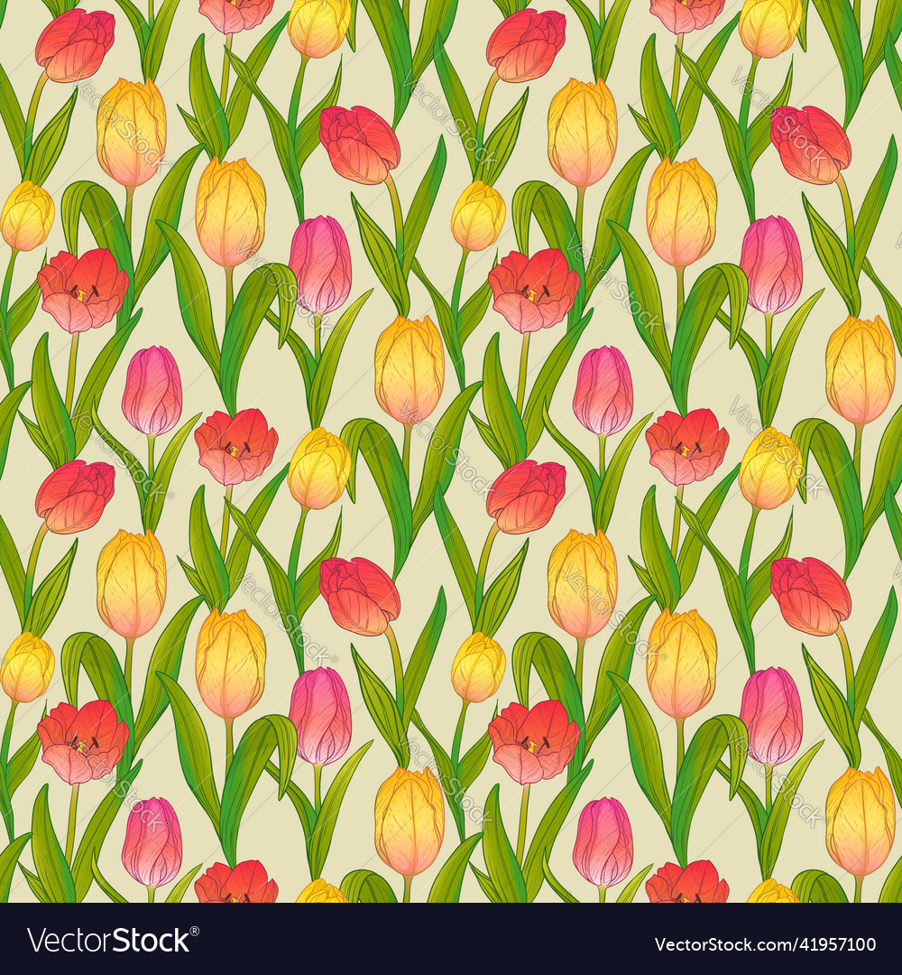 Seamless pattern with red and yellow tulips