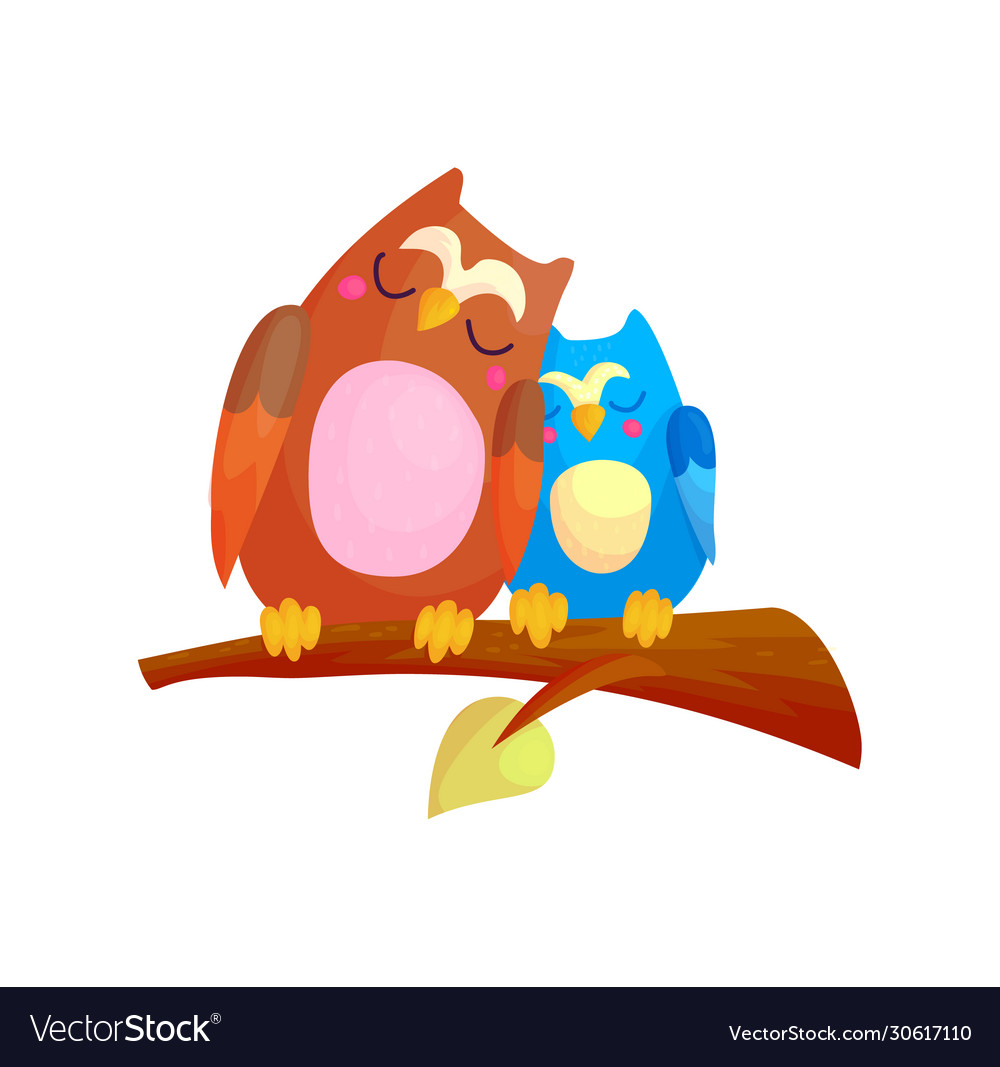 Cartoon sleeping owl couple