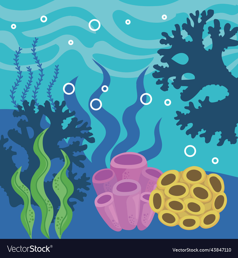 Coral reef and algaes sea Royalty Free Vector Image