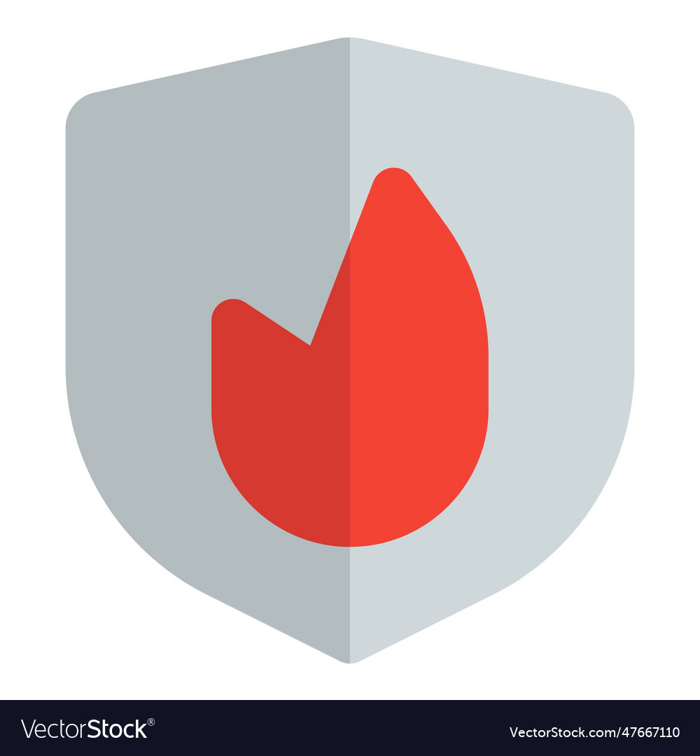 Firewall a type of network security device