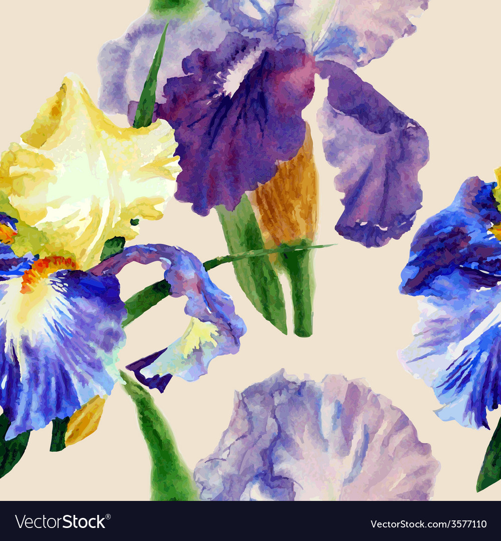 Seamless pattern with color irises1-02