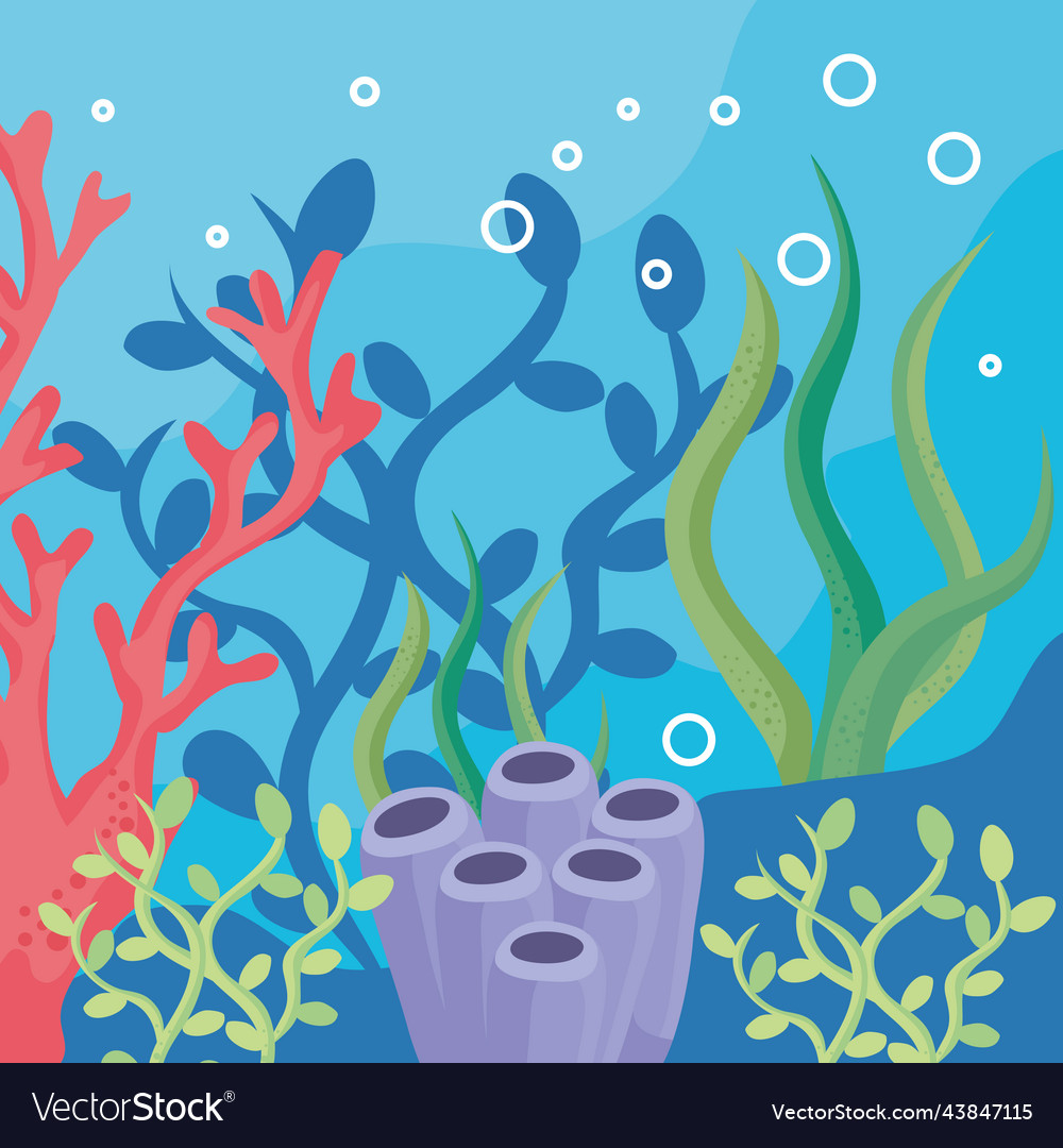 Coral reef and seaweed Royalty Free Vector Image