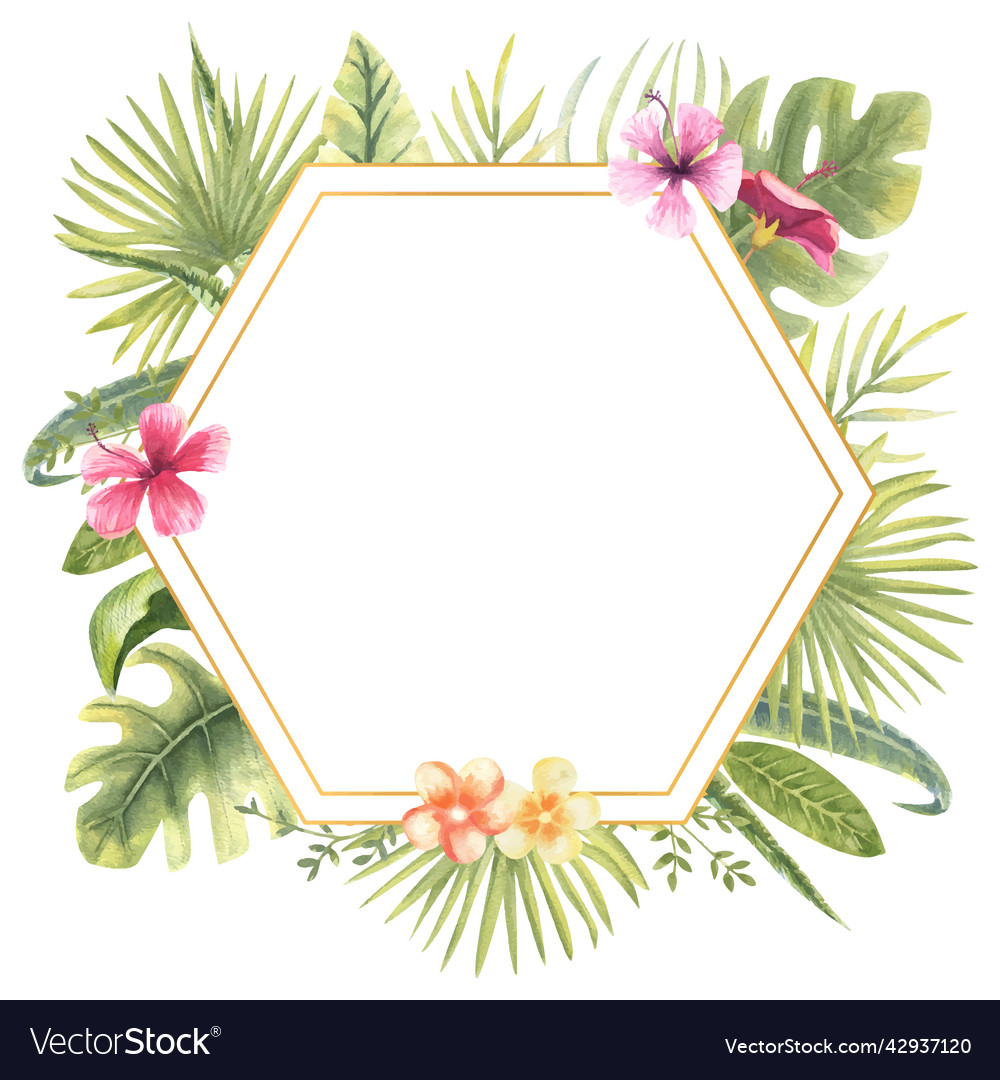 A hexagonal frame
