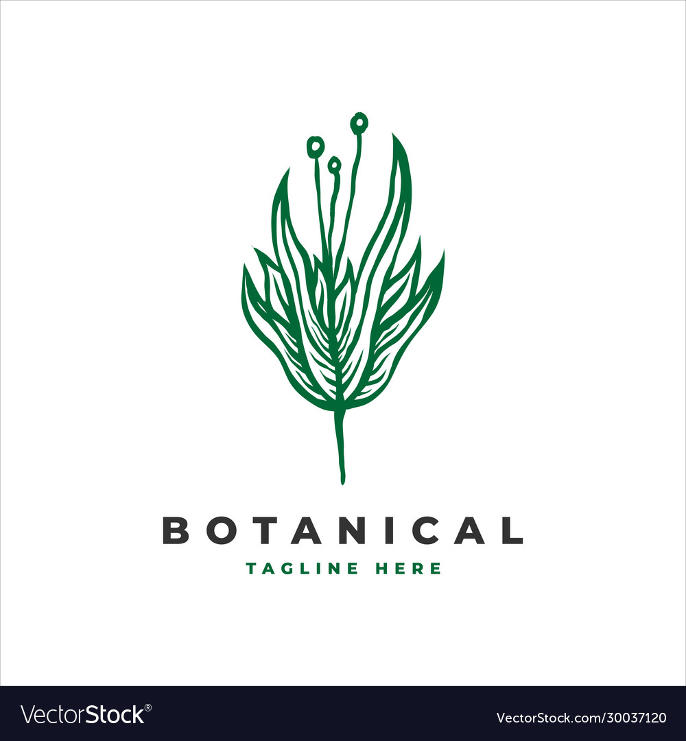 Botanical flower logo template