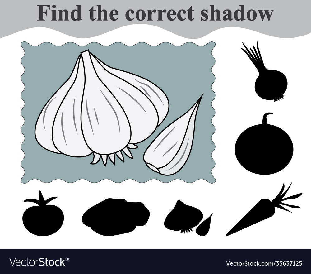 Garlic Shadow Matching Game