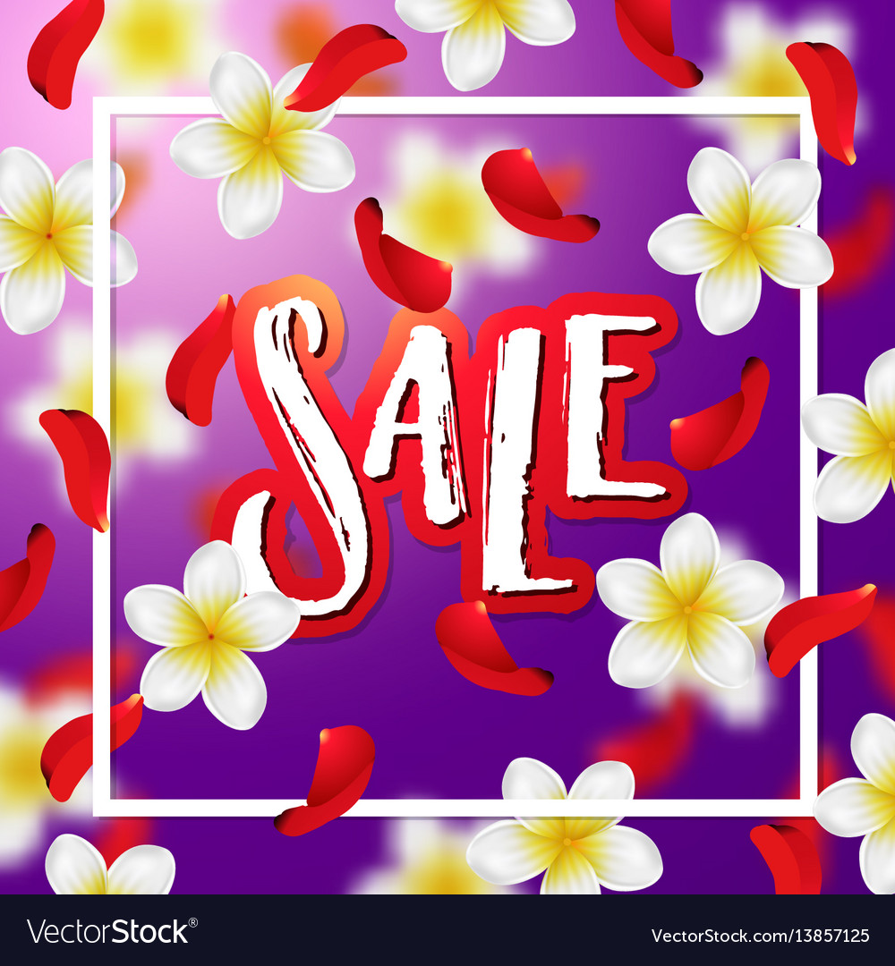 Hand drawn calligraphy sale Royalty Free Vector Image