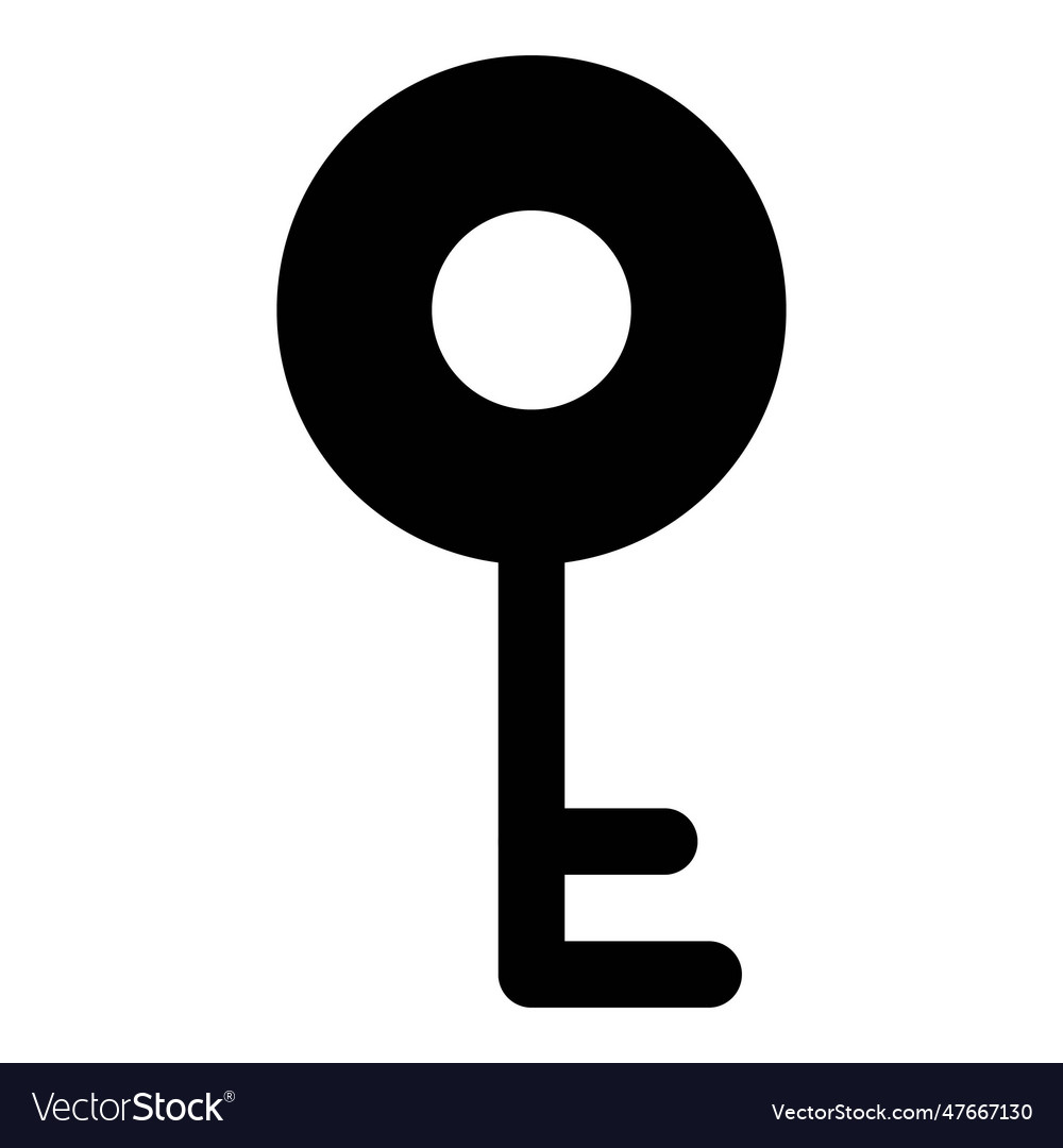 Electronic programmable smart key in cyberspace