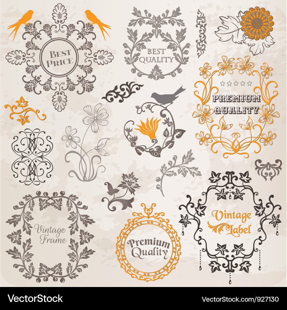 Set calligraphic design elements Royalty Free Vector Image