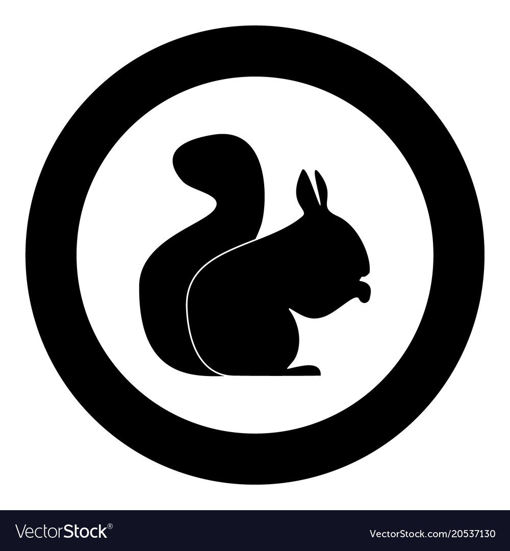 Squirrel black icon in circle