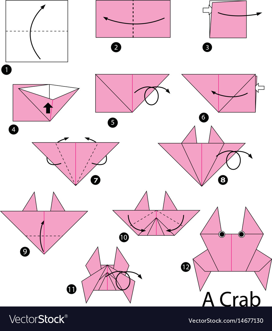 Step By Step Instructions How To Make Origami Vector Image