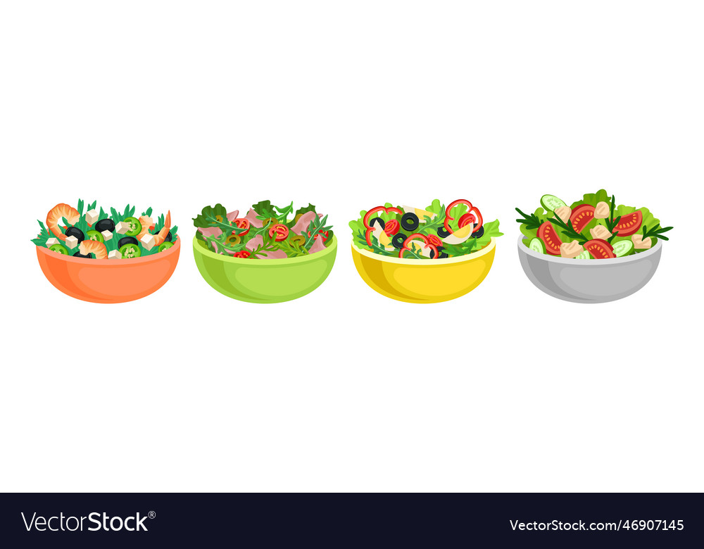 Fresh salads in bowl with mixed ingredients Vector Image
