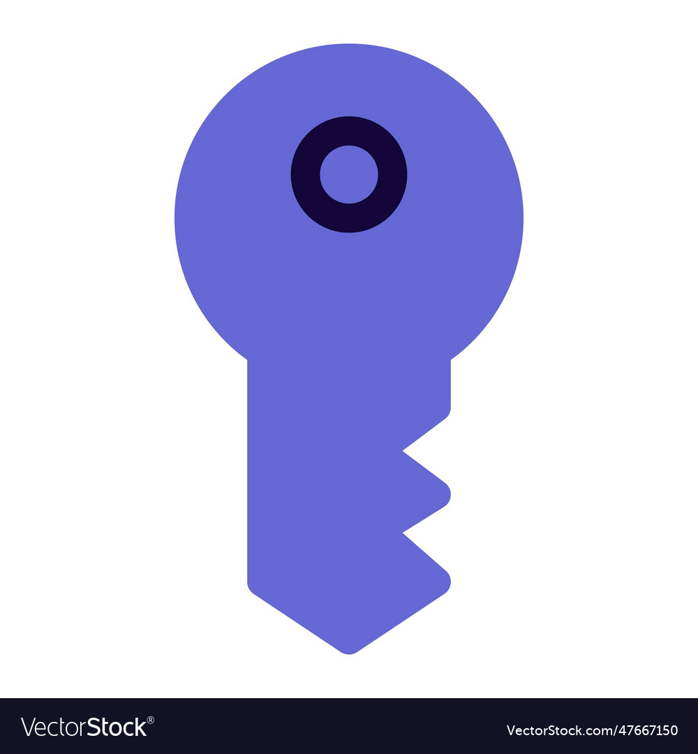 Cyberspace smart key with electronic coding