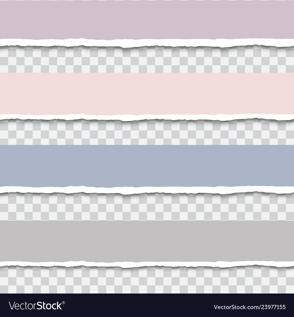 Torn paper strip template Royalty Free Vector Image