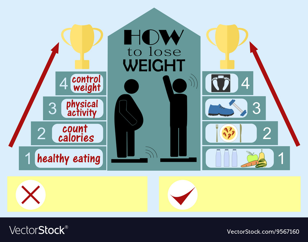 Infographics on the topic of how to lose weight