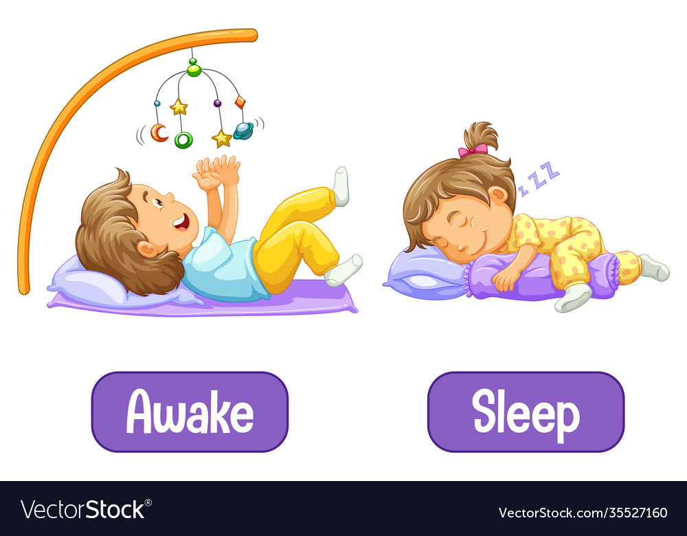 opposite-words-with-awake-and-sleep-royalty-free-vector