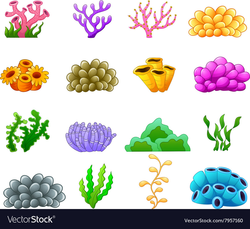 Underwater Plant Collection