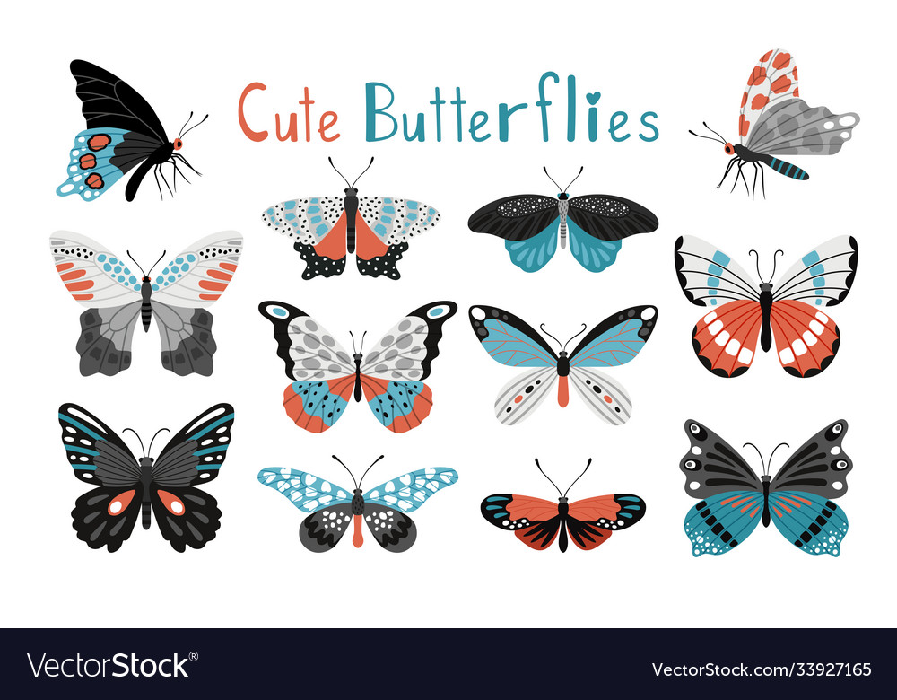 Butterfly Icon Set - Colorful & Elegant