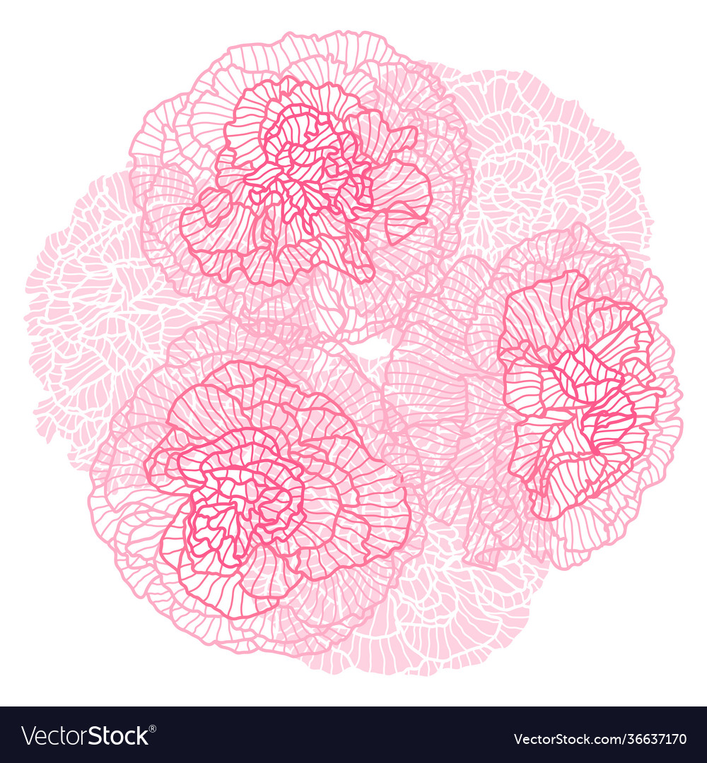Decorative element with linear roses vector image Decorative element with linear roses