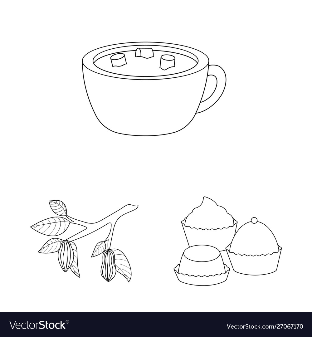 Design cocoa and beans logo set Vector Image Design cocoa and beans logo set