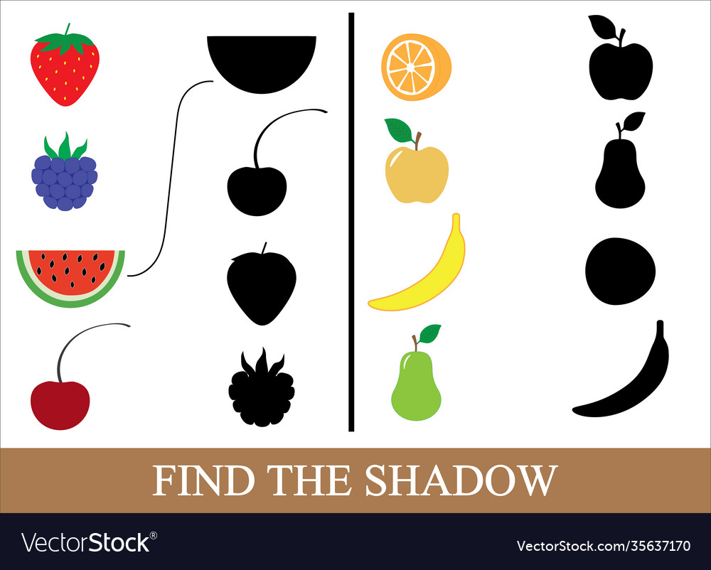 Find correct shadow berries and fruits Royalty Free Vector