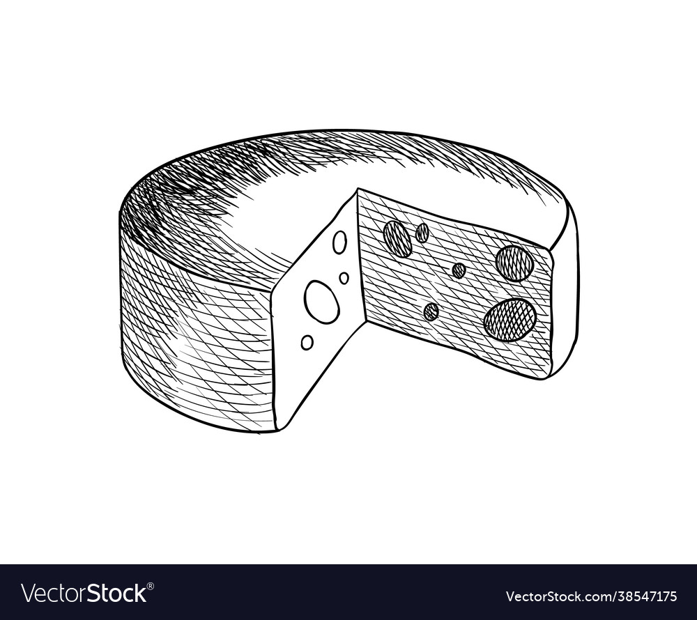 Cheese coloring design element for menu label vector image Cheese coloring design element for menu label