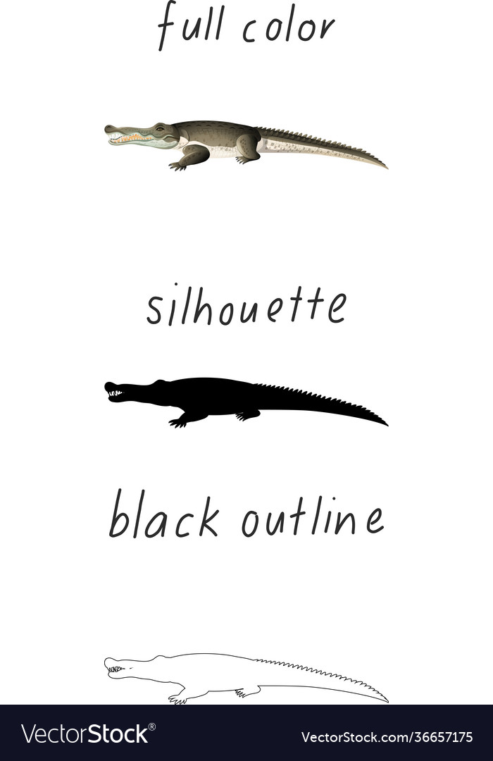 Alligator in Farbe Silhouette und schwarz