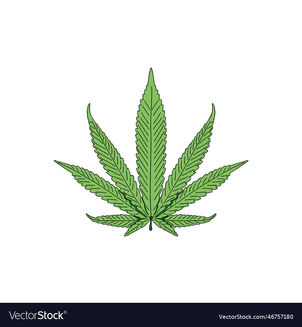 Cannabis marijuana hemp pot leaf Royalty Free Vector Image