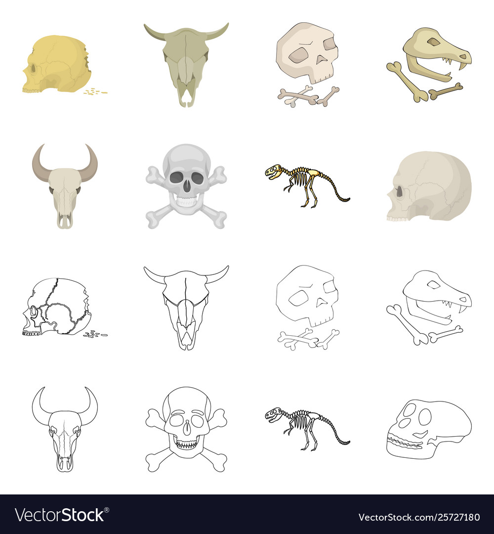 Isolated object skeleton and character logo