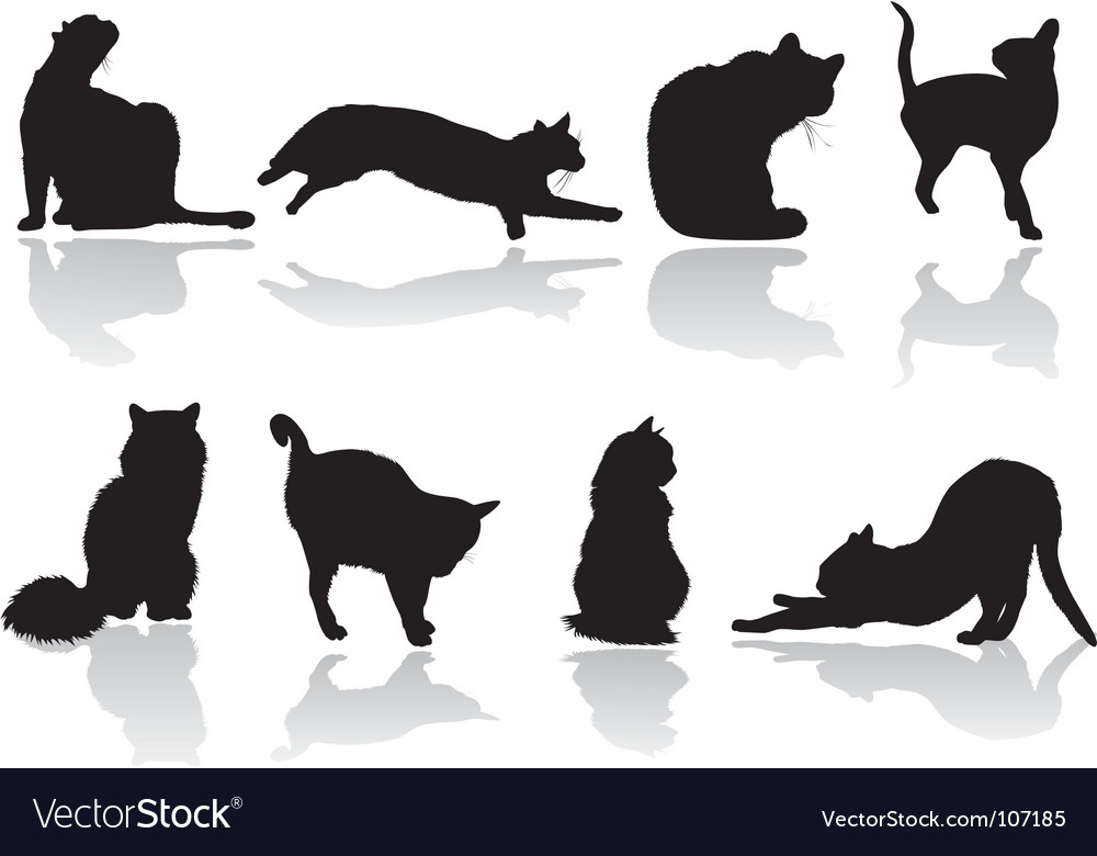 Cat Pose Royalty Free Vector Image Vectorstock Cat Pose Royalty Free Vector Image Vectorstock