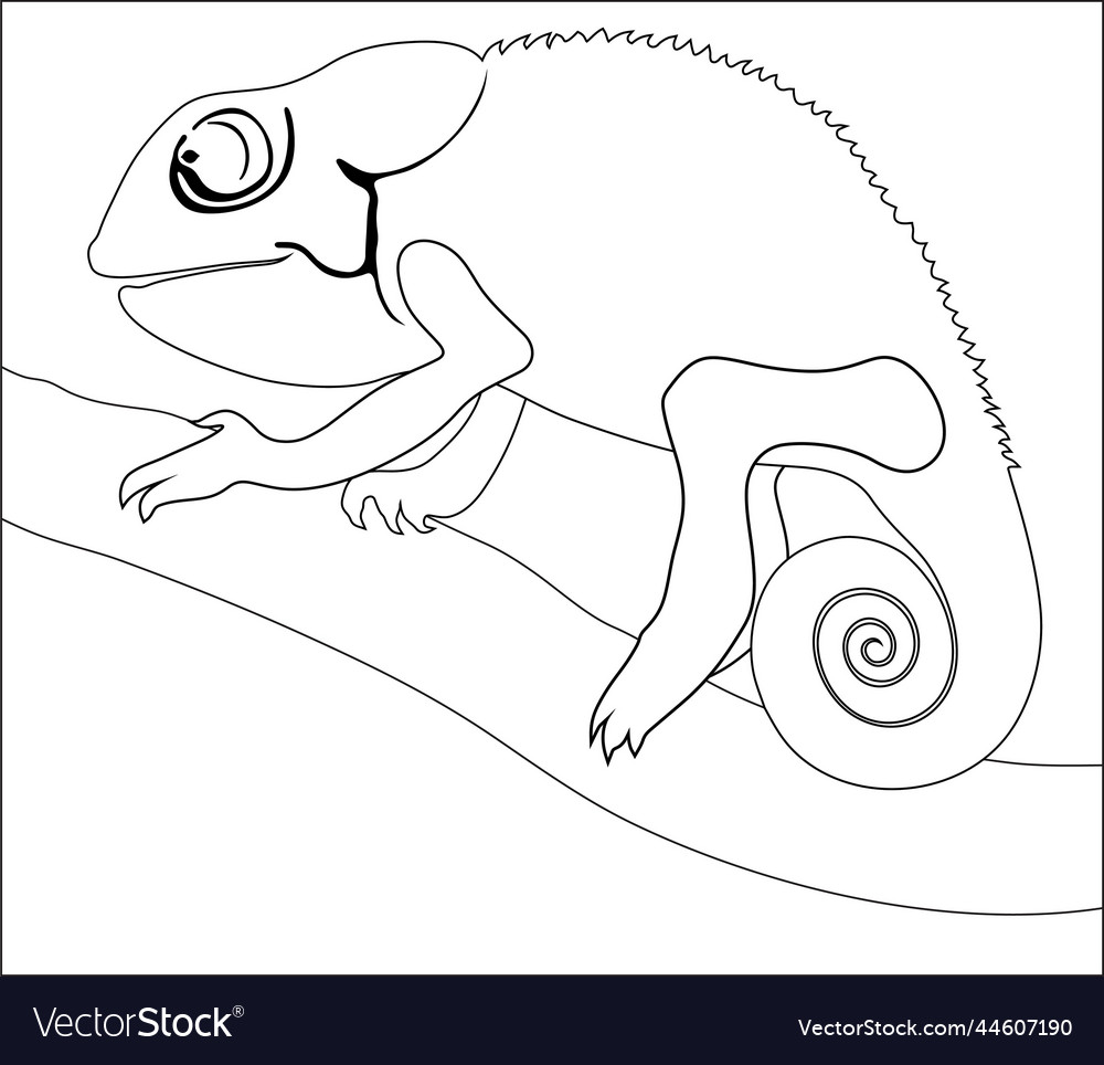 Chameleon on branch Royalty Free Vector Image - VectorStock