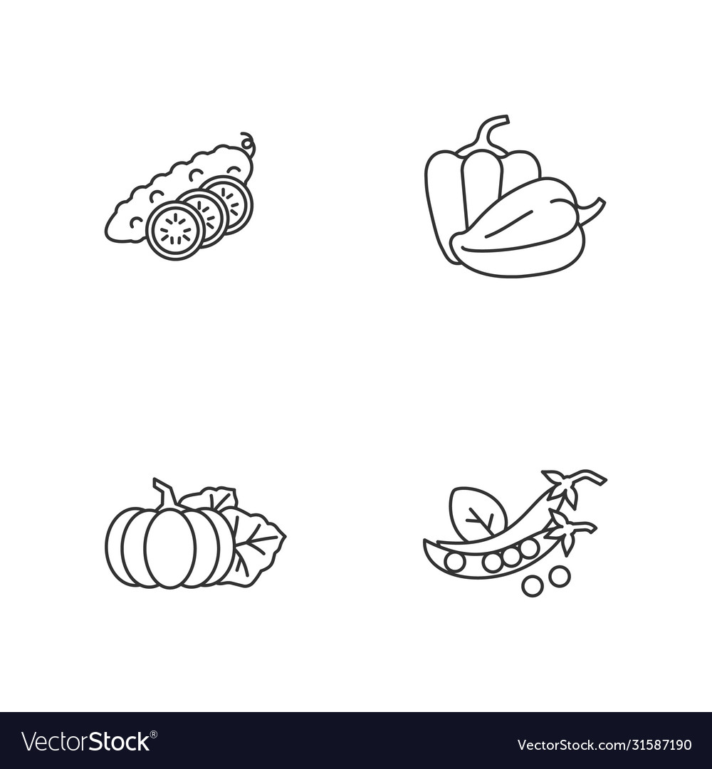 Salad Zutat Pixel perfekte lineare Icons Set