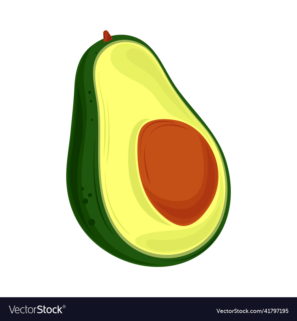 Avocado fruit icon