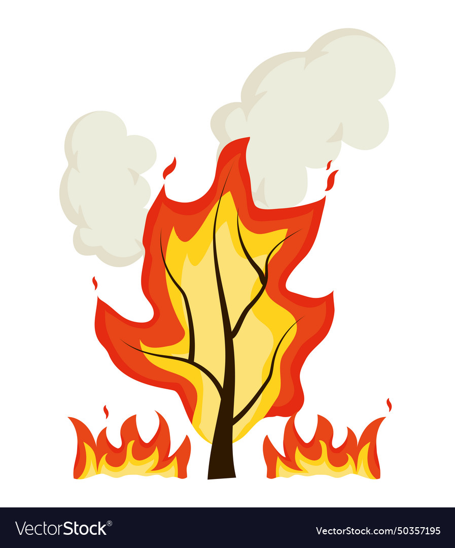 Forest fires deforestation Royalty Free Vector Image