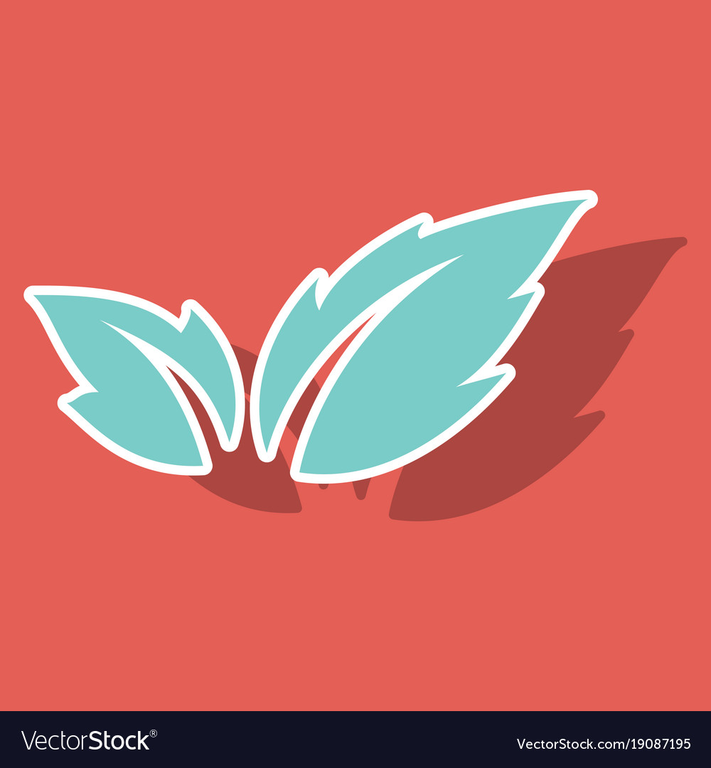 Fresh basil leaves icon sticker