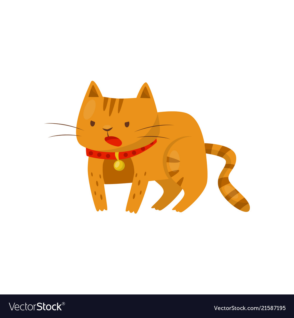 Funny angry cat cute domestic pet animal cartoon Vector Image