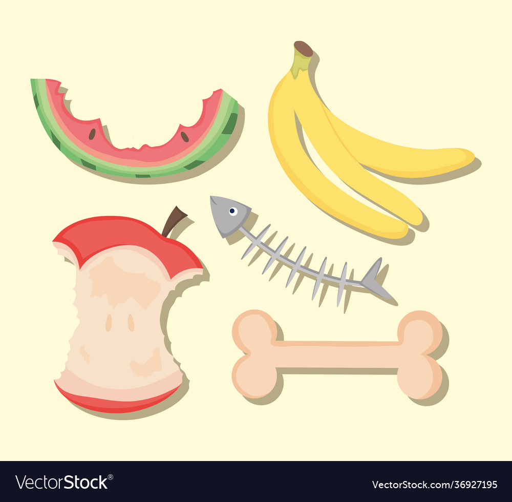 Organic Waste Set Royalty Free Vector Image Vectorstock Organic Waste Set Royalty Free Vector Image Vectorstock