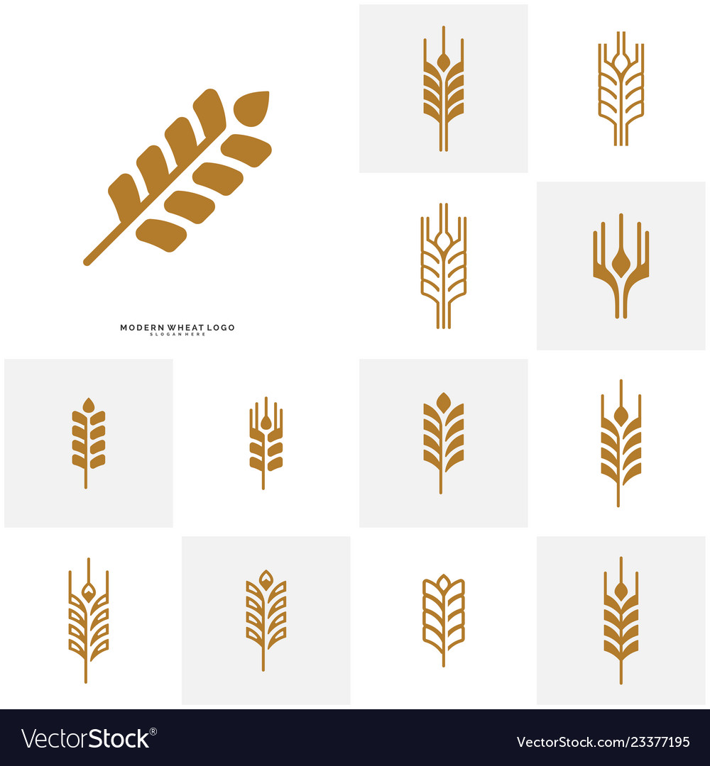 Wheat & Grain Logo Set - Organic & Natural