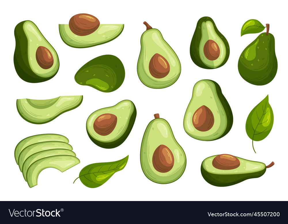 Set of avocado fruits and leaves whole sliced