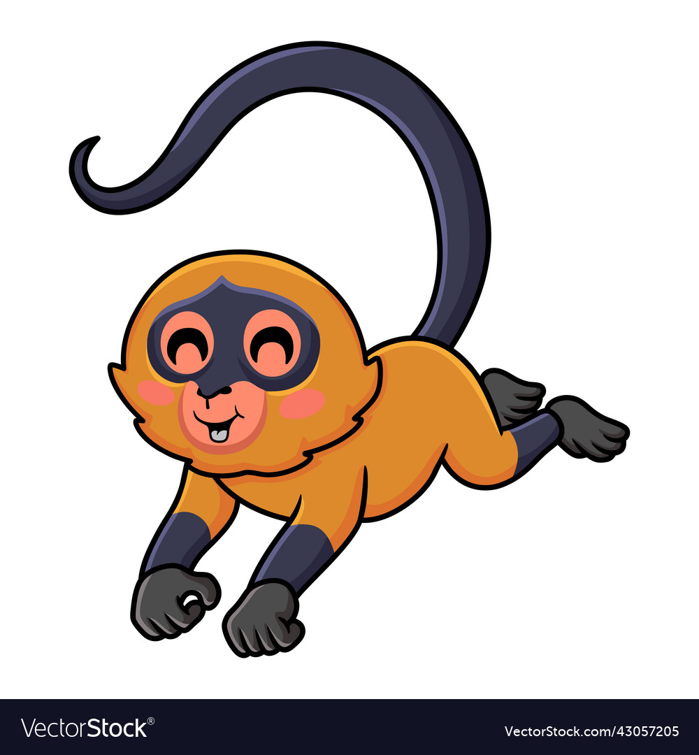 Cute spider monkey cartoon jumping Royalty Free Vector Image