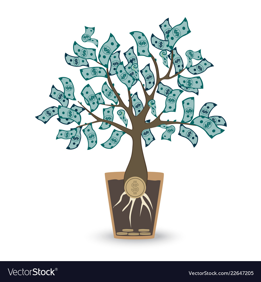 Money tree isolated object on white