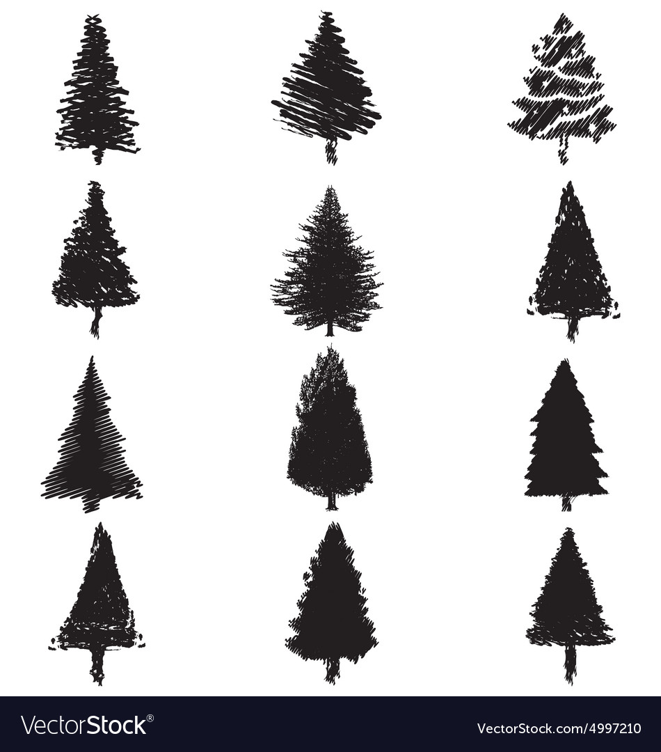 Download Abstract pine trees silhouette Royalty Free Vector Image