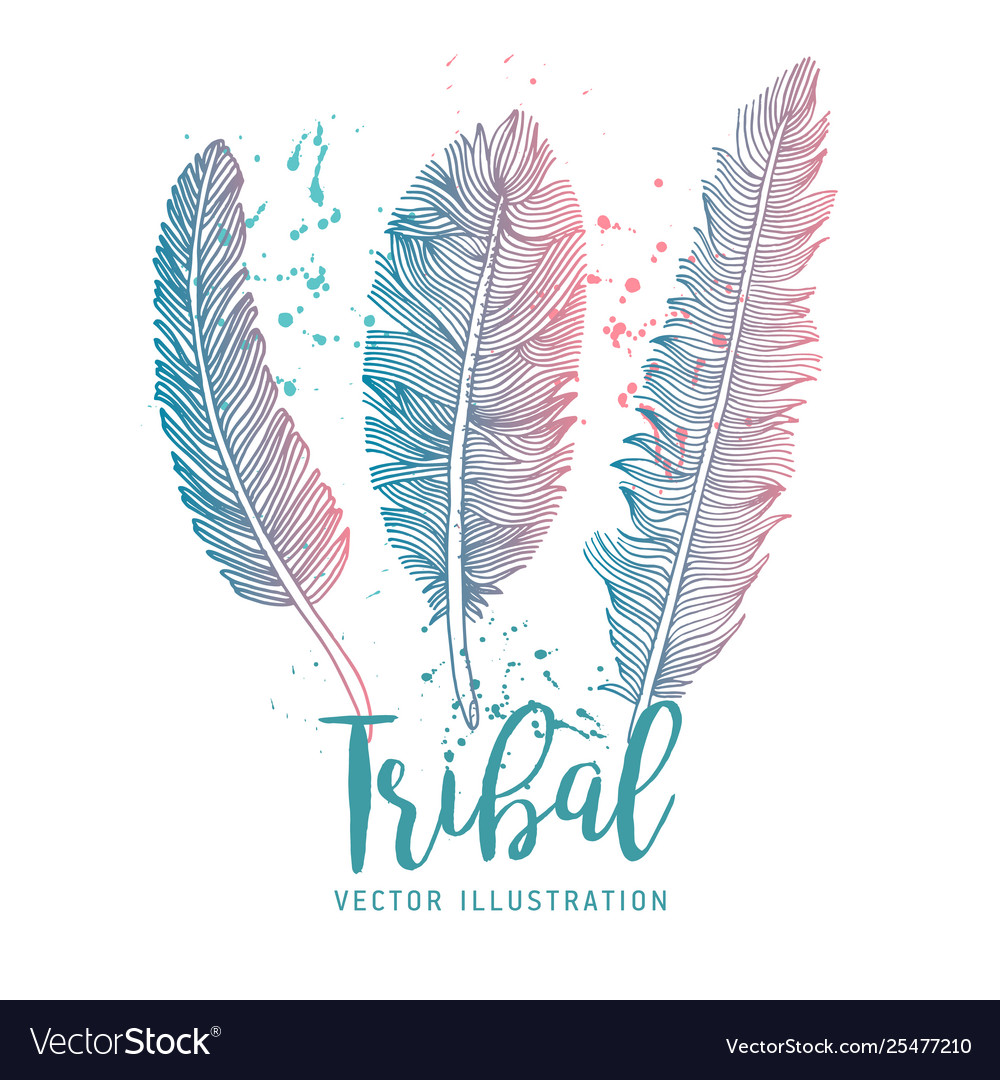 Colorful Feather Set