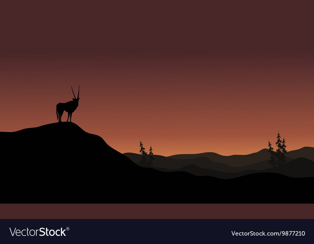 Auf Hügeln antelope Landschaft Silhouette