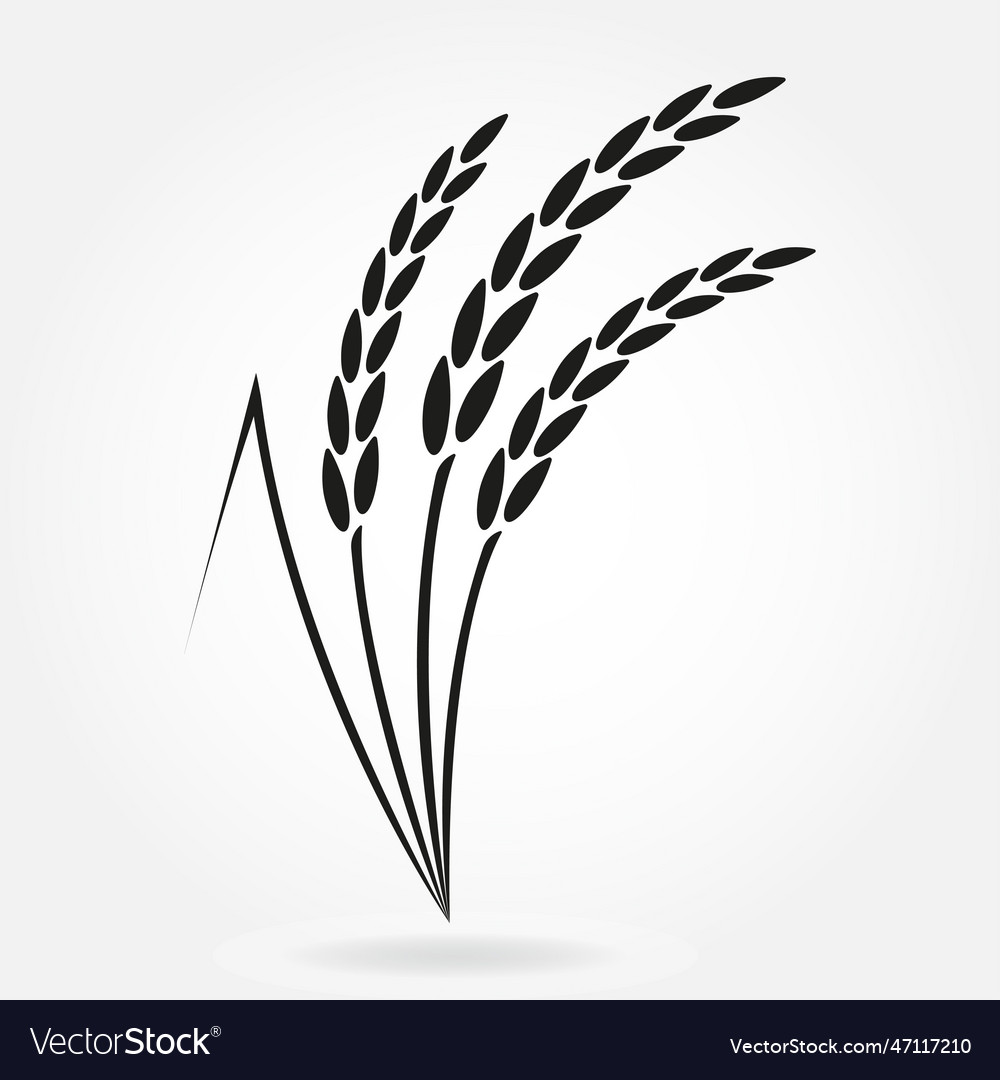 Rice crop symbol or wheat ears design Royalty Free Vector