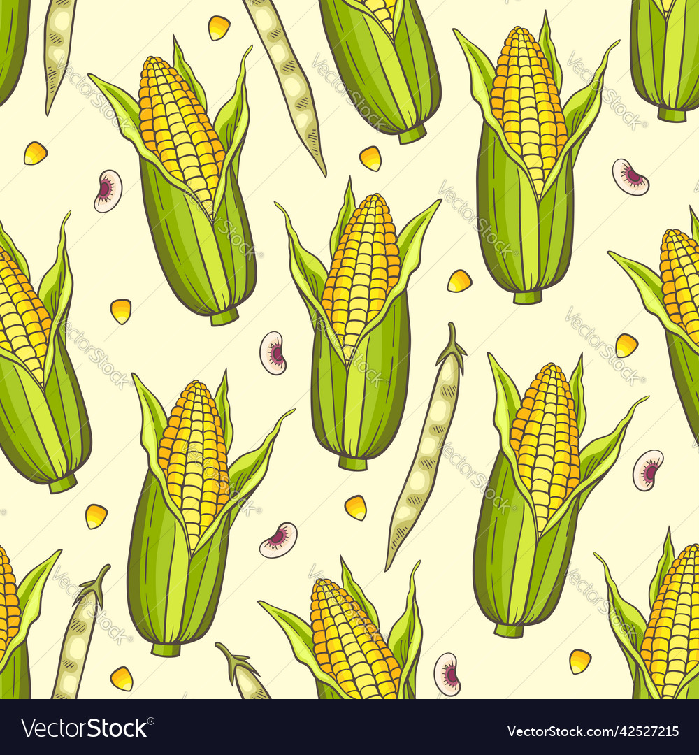 Seamless pattern with corn and beans