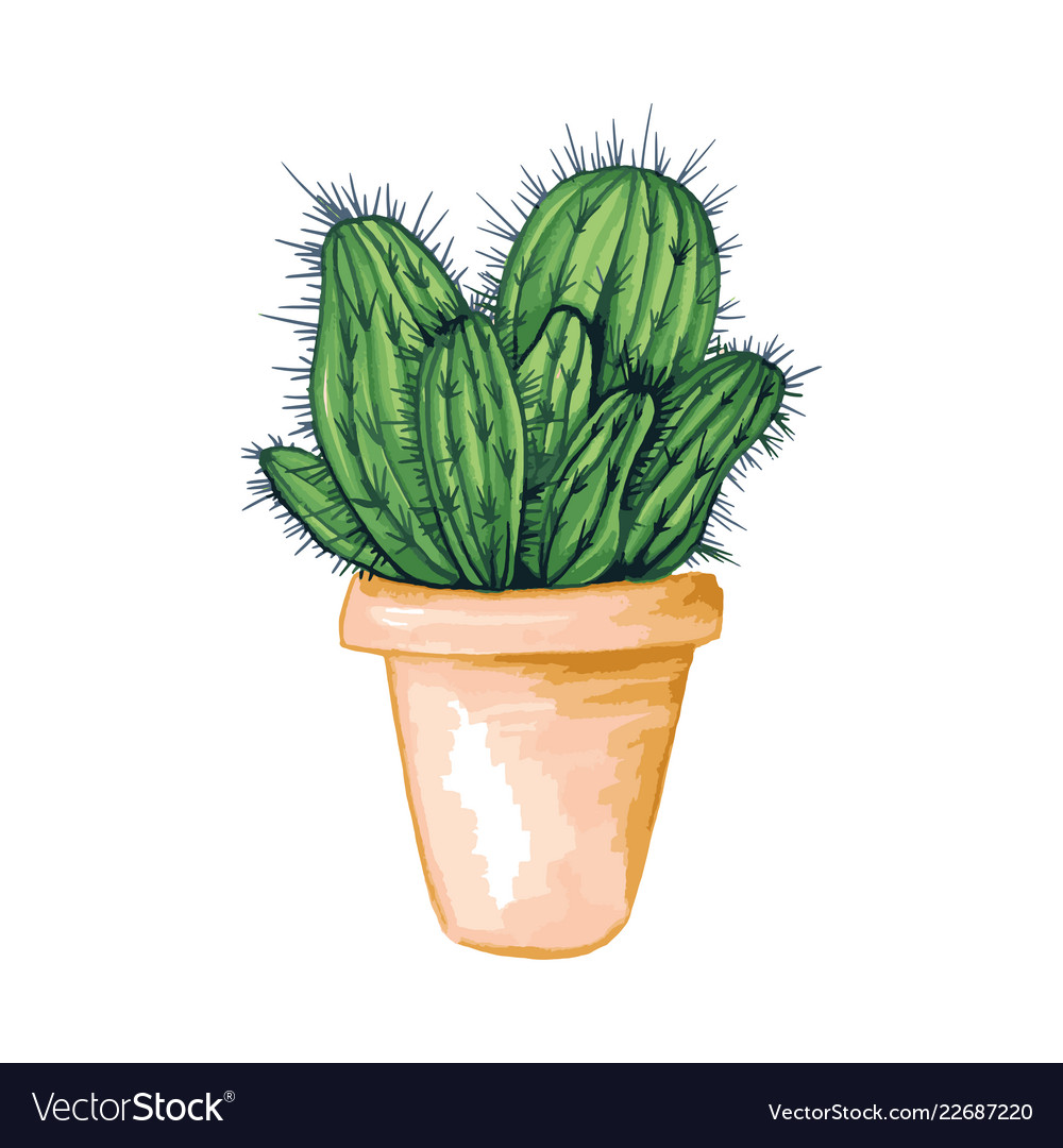 Mexican Cacti in Clay Pot - Cinco de Mayo