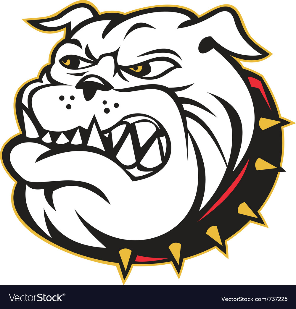 Angry bulldog mongrel Royalty Free Vector Image