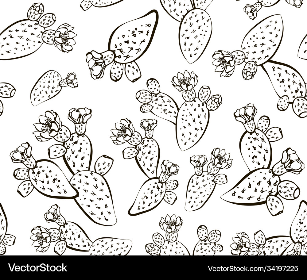 Cactus hand drawn seamless pattern creative Vector Image