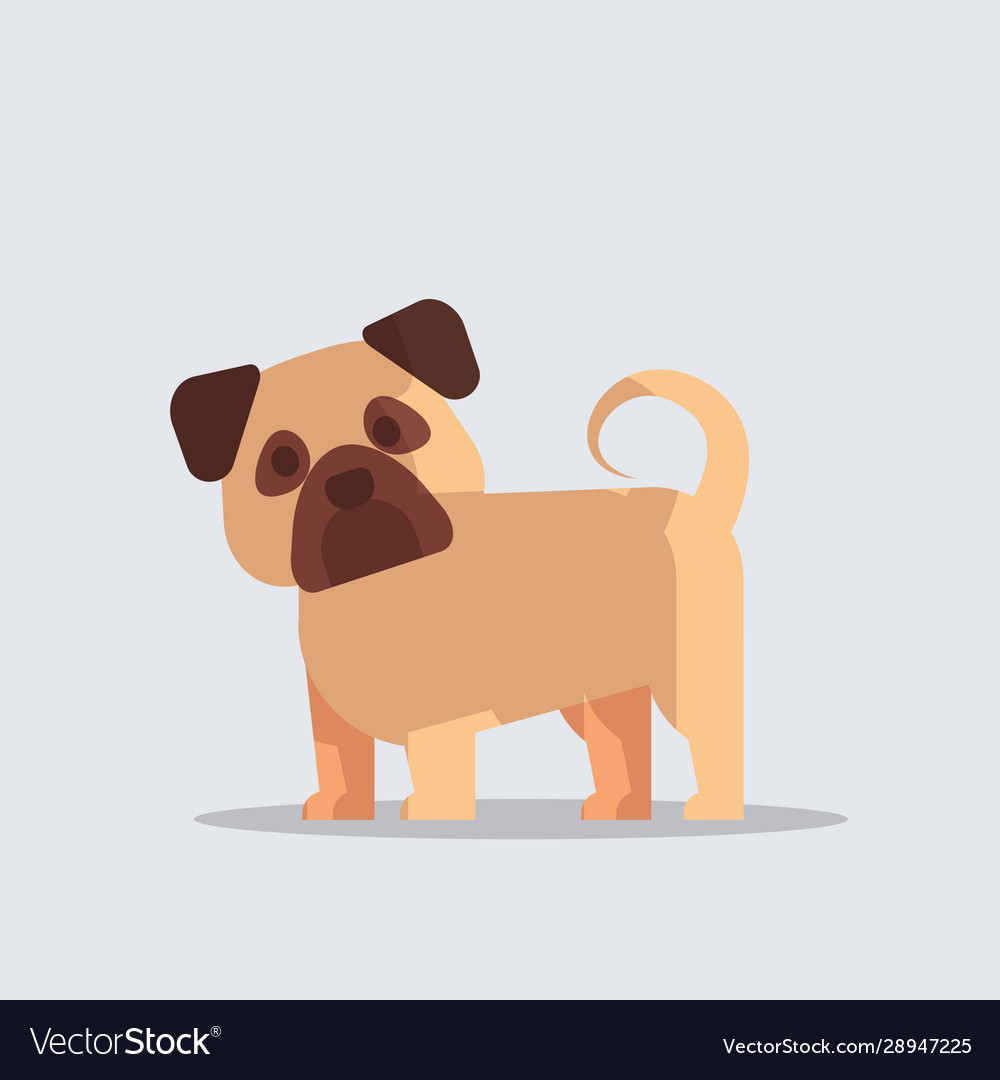 Süße Becher Hund Icon - Fluffy Pet
